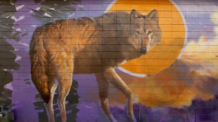 South Salt Lake Arts Council - Murals