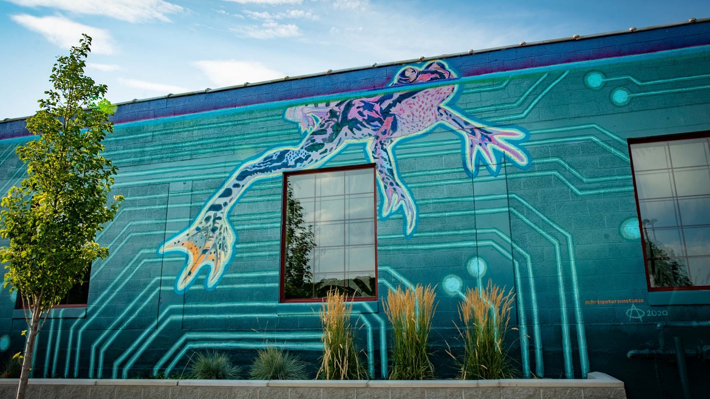 South Salt Lake Arts Council - Frogwater