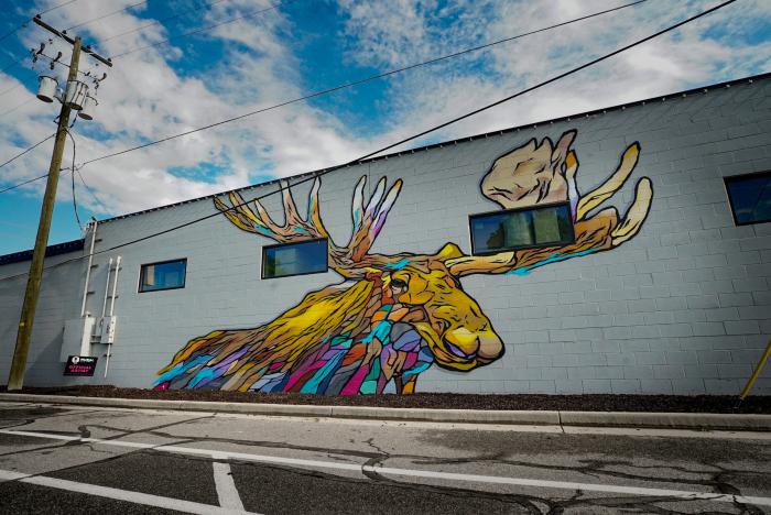 South Salt Lake Arts Council - Murals