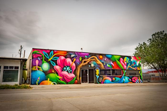 South Salt Lake Arts Council - Murals