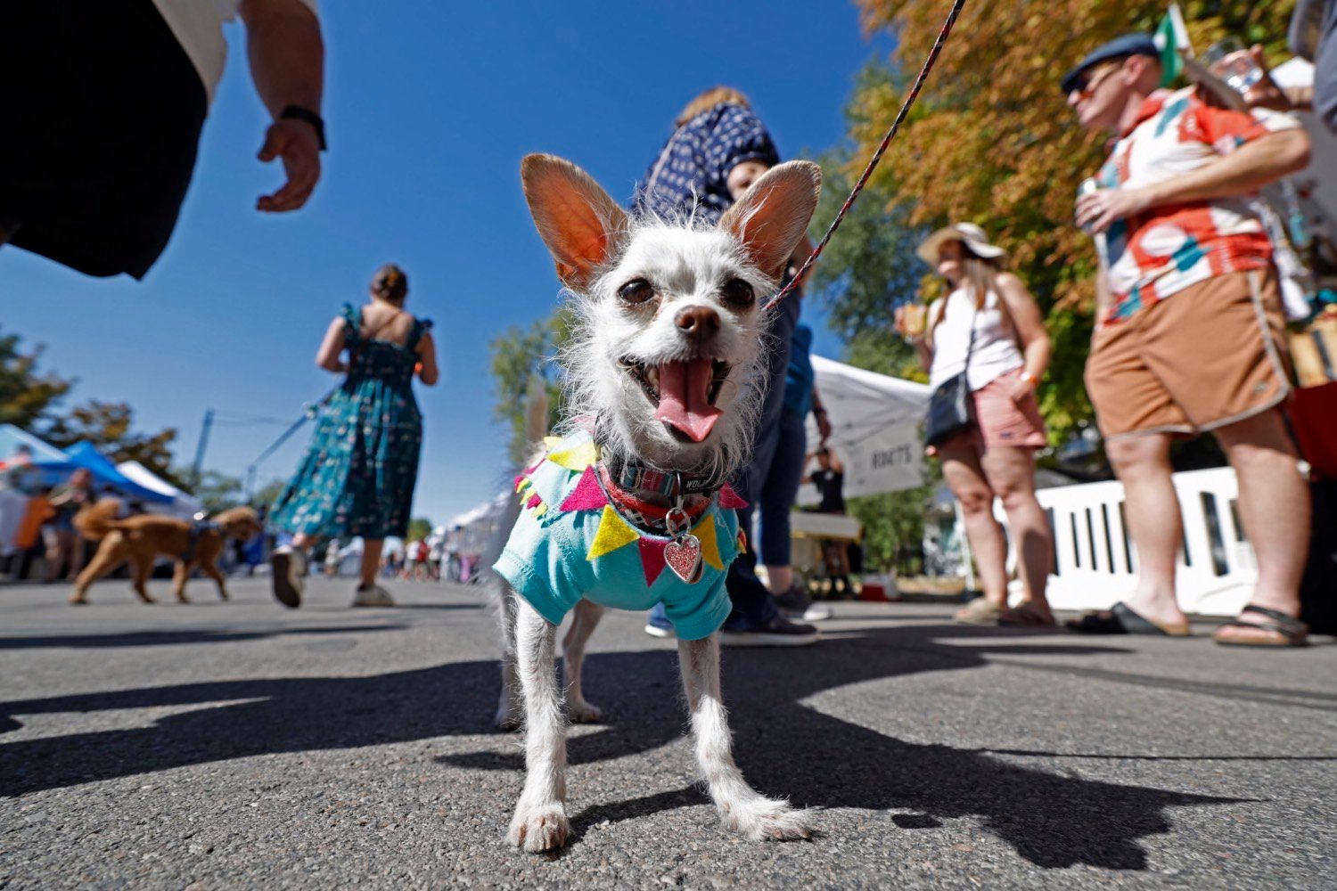 South Salt Lake Arts Council - Craftoberfest